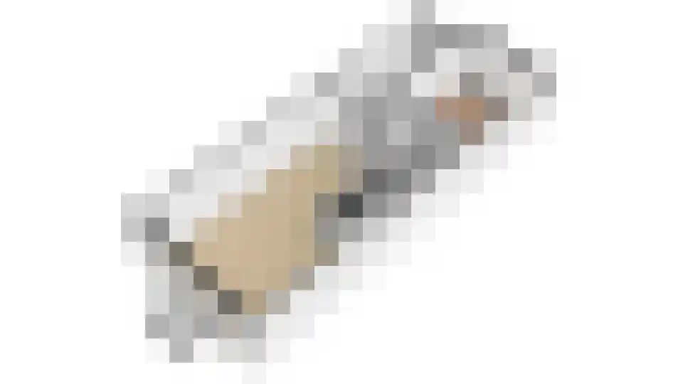 Geiserlaan 13 Zeist thumbnail 18