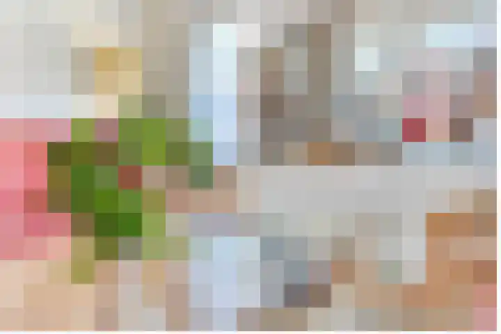Geiserlaan 4 Zeist thumbnail 11