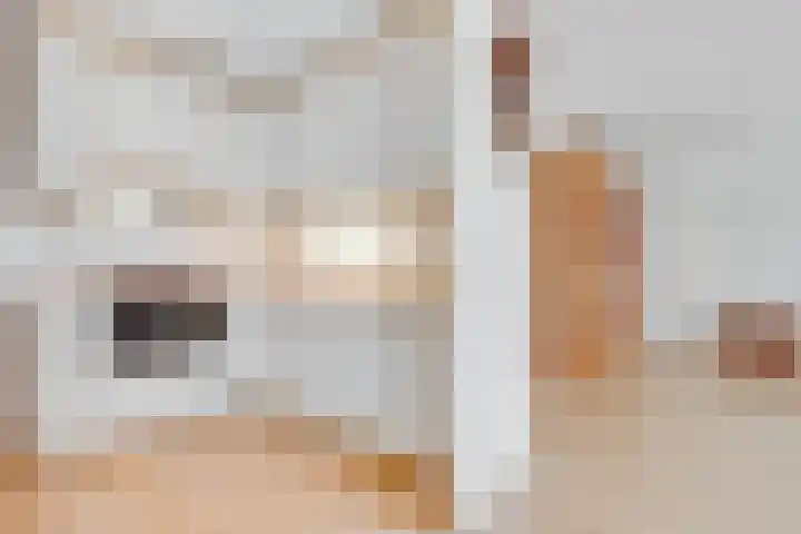 Geiserlaan 4 Zeist thumbnail 15
