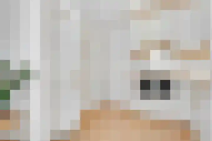 Geiserlaan 4 Zeist thumbnail 16