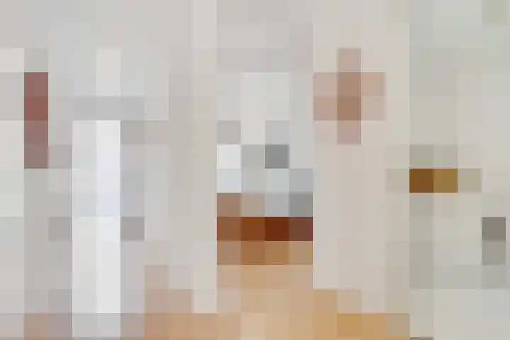 Geiserlaan 4 Zeist thumbnail 18