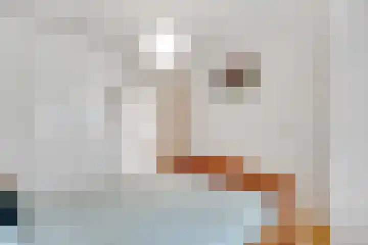 Geiserlaan 4 Zeist thumbnail 20
