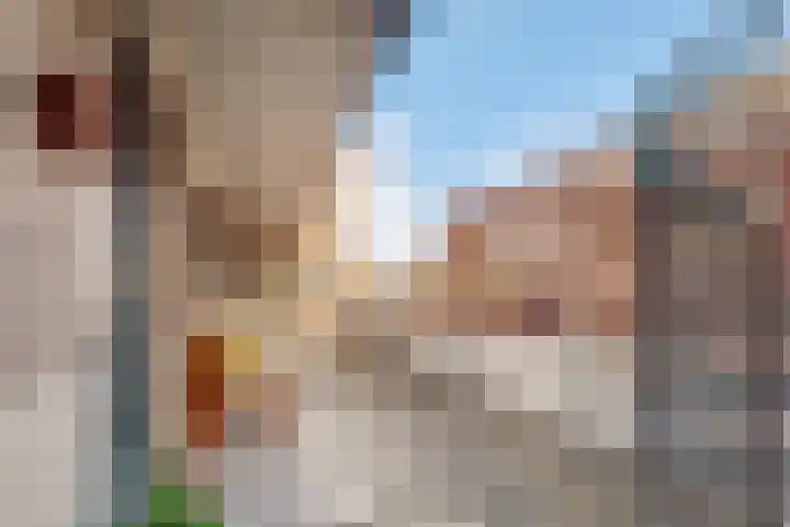 Geiserlaan 4 Zeist thumbnail 26