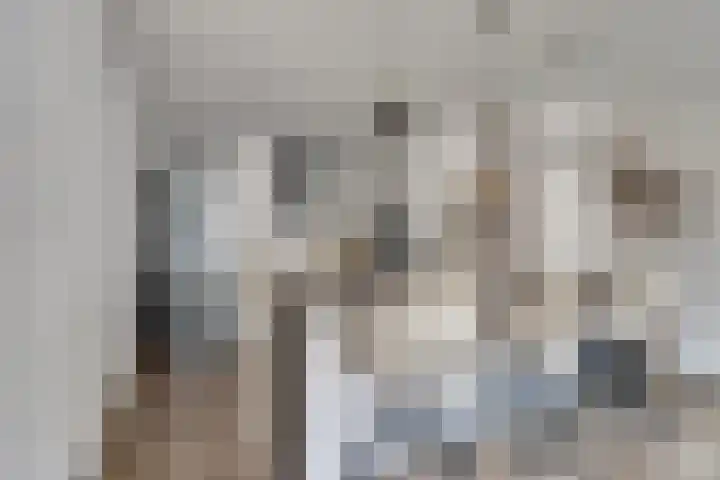 Geiserlaan 9 Zeist thumbnail 13