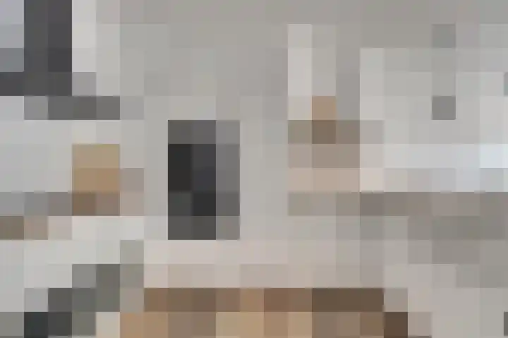 Geiserlaan 9 Zeist thumbnail 16