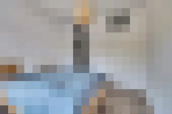 Geiserlaan 9 Zeist thumbnail 22
