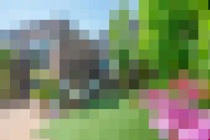 Geiserwater 6 Houten thumbnail 12