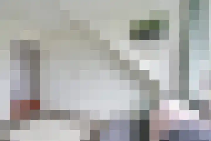 Geiserwater 6 Houten thumbnail 31