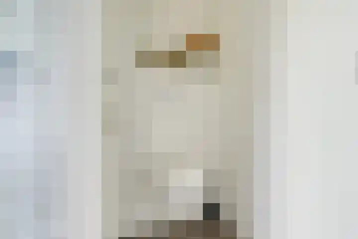 Geiserwater 6 Houten thumbnail 33