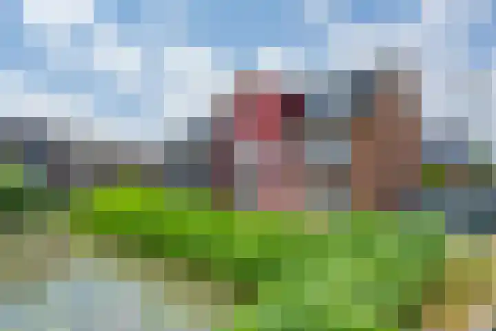 Geiserwater 6 Houten thumbnail 34