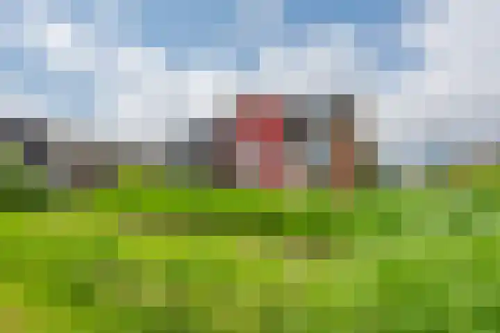 Geiserwater 6 Houten thumbnail 35
