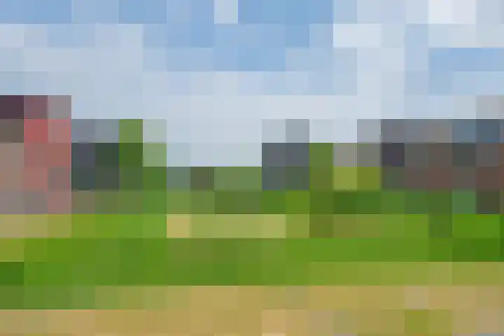 Geiserwater 6 Houten thumbnail 36