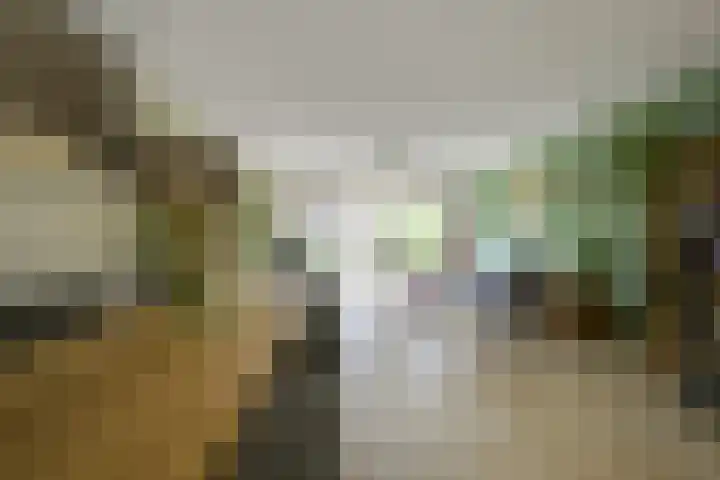 Geiserwater 6 Houten thumbnail 4