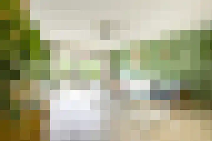 Geiserwater 6 Houten thumbnail 5