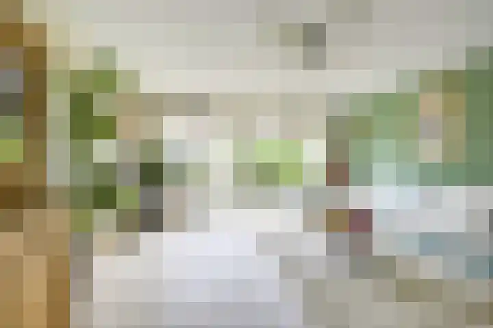 Geiserwater 6 Houten thumbnail 6