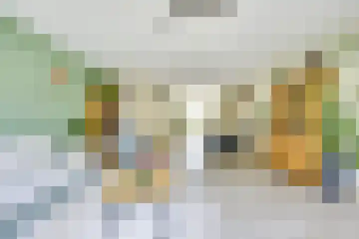 Geiserwater 6 Houten thumbnail 7