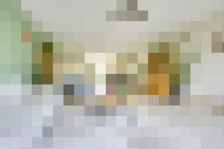 Geiserwater 6 Houten thumbnail 8