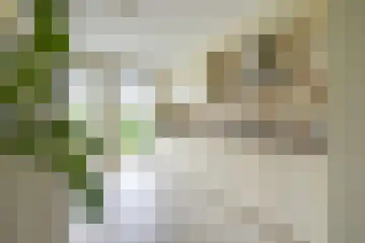 Geiserwater 6 Houten thumbnail 9