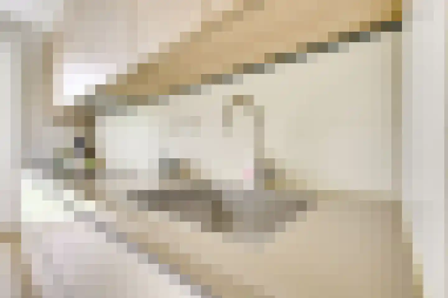 Geiserwater 7 Houten thumbnail 12