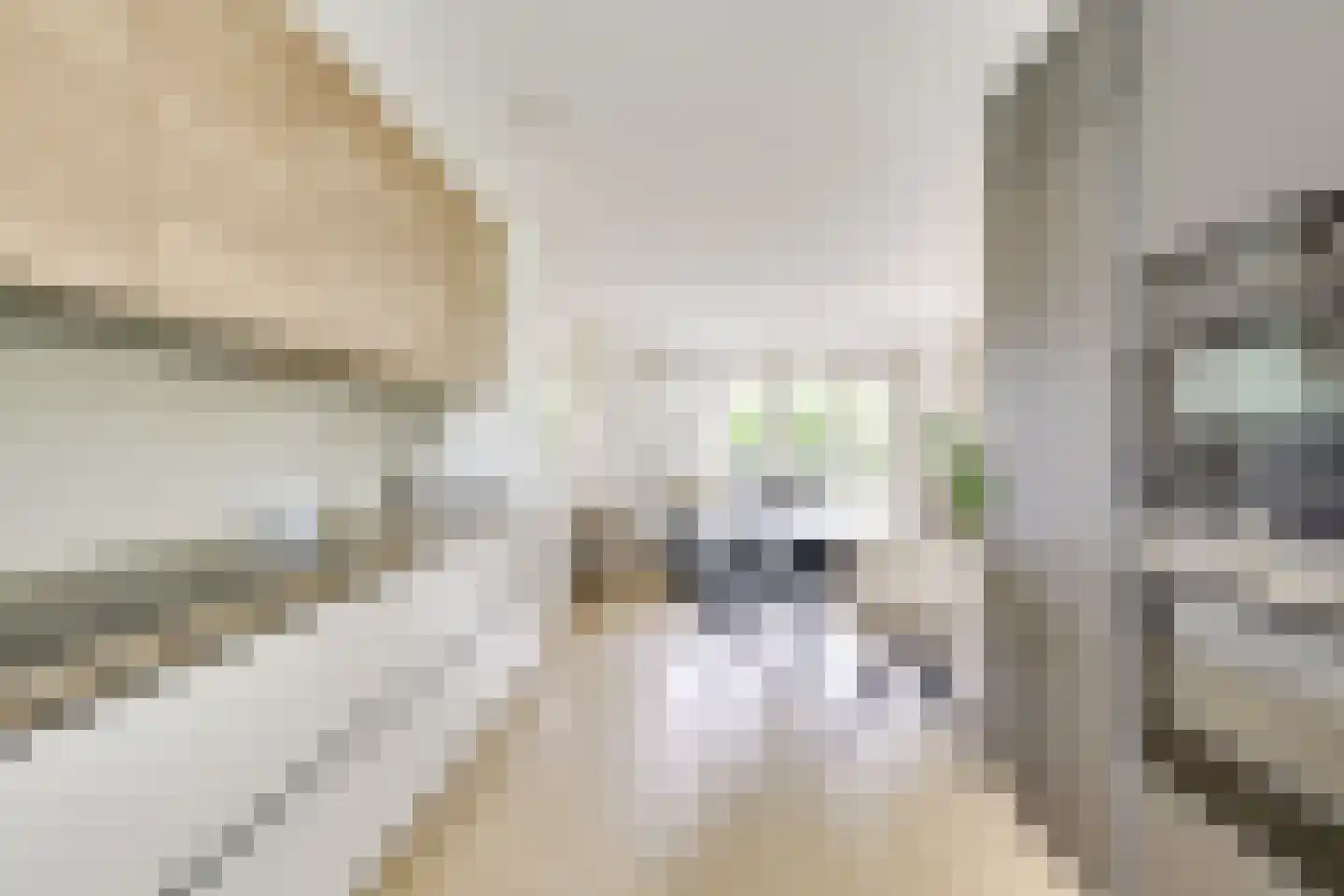 Geiserwater 7 Houten thumbnail 15