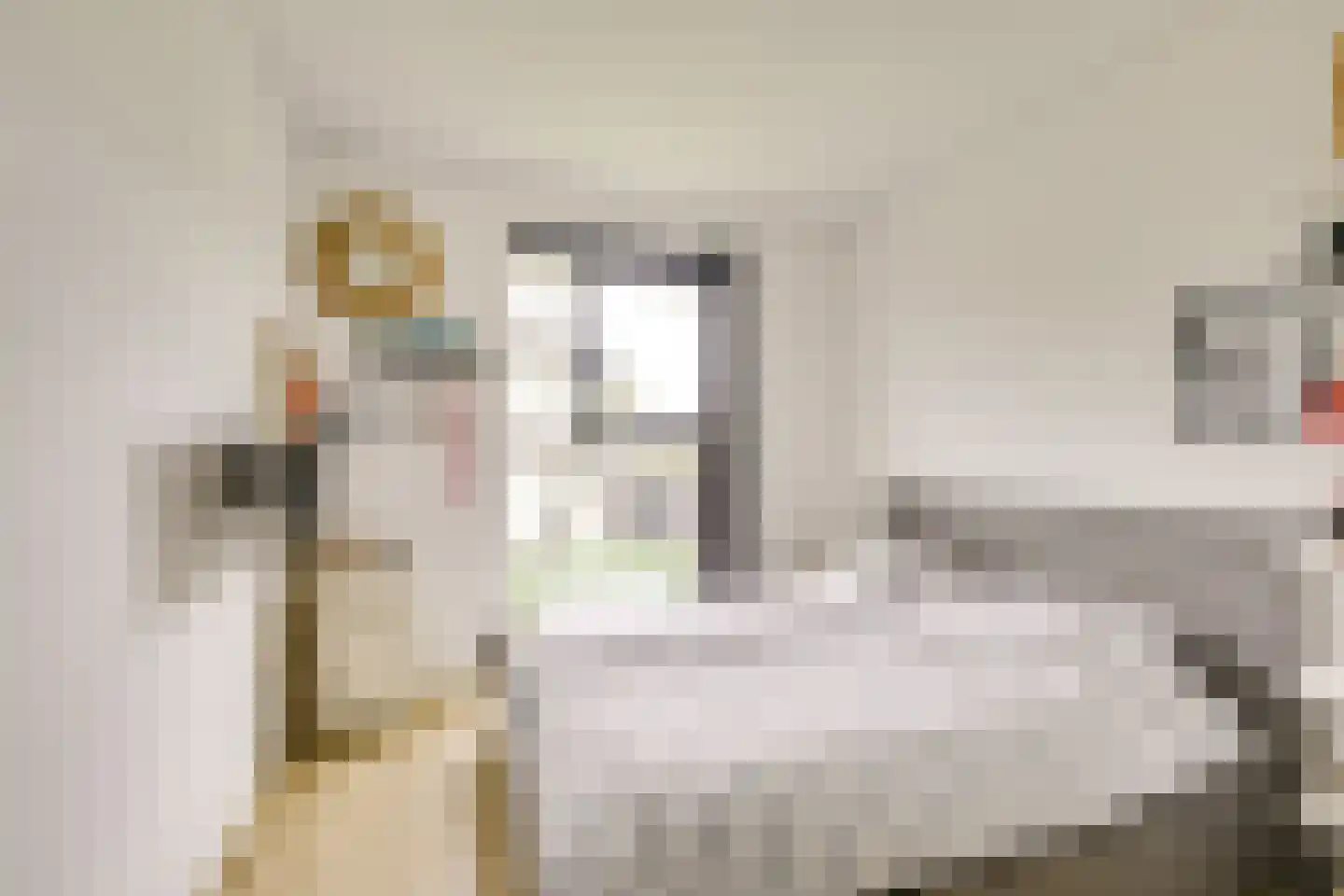 Geiserwater 7 Houten thumbnail 24