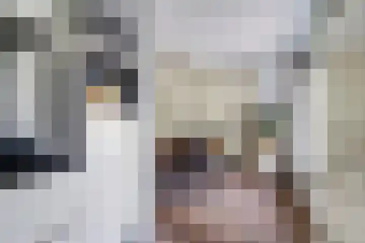 Geison 6 Beuningen Gld thumbnail 11