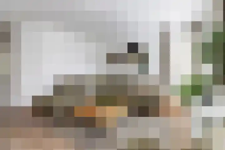 Geison 6 Beuningen Gld thumbnail 14