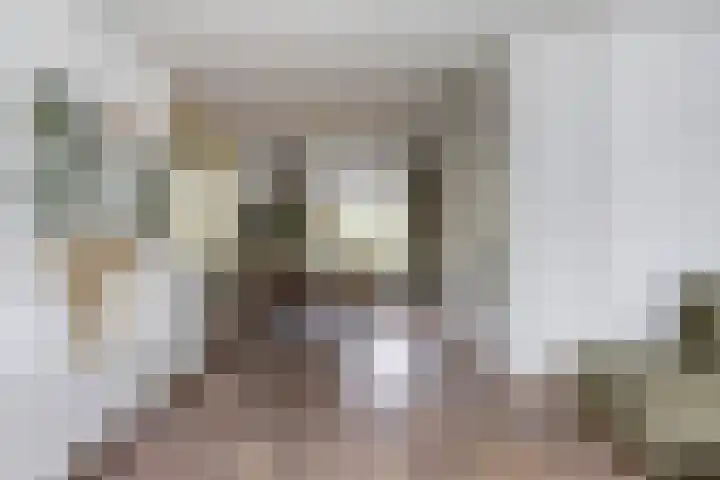Geison 6 Beuningen Gld thumbnail 15
