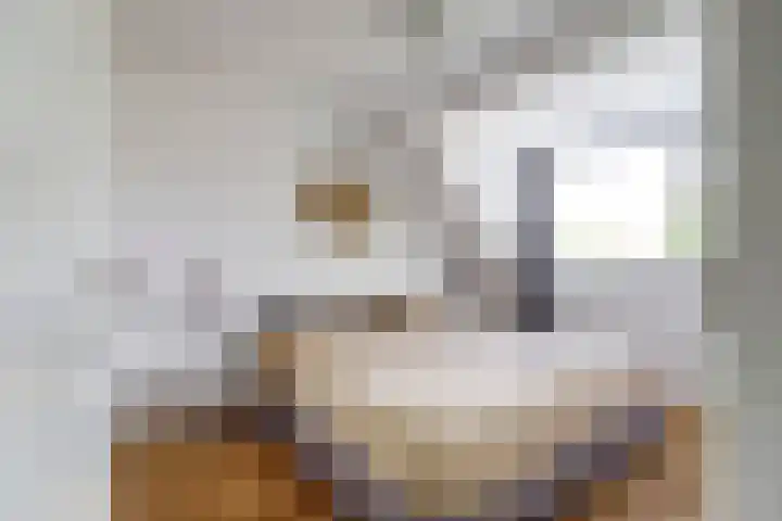 Geison 6 Beuningen Gld thumbnail 18
