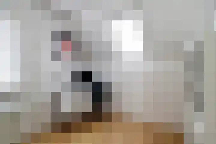 Geison 6 Beuningen Gld thumbnail 24