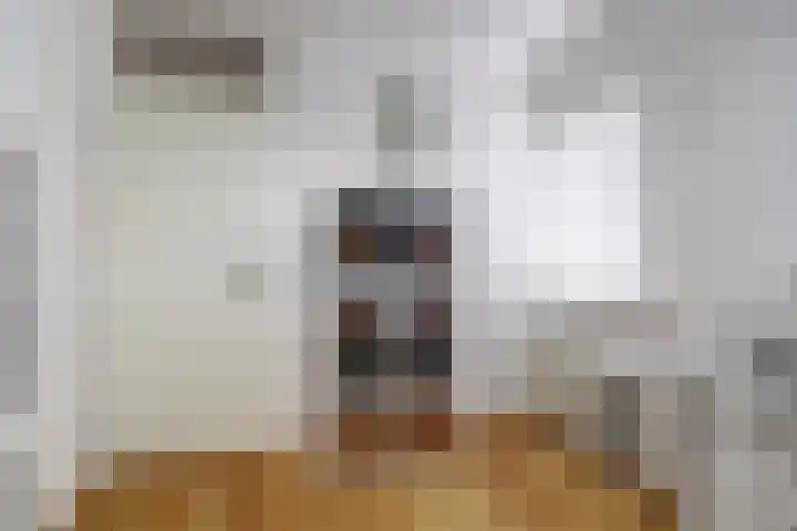 Geison 6 Beuningen Gld thumbnail 25