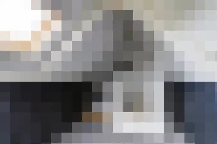 Geison 6 Beuningen Gld thumbnail 30