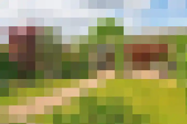 Geison 6 Beuningen Gld thumbnail 33