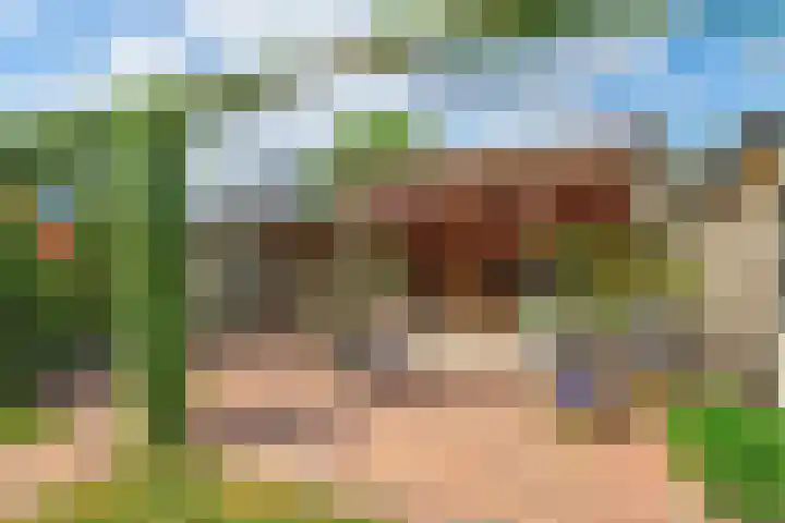 Geison 6 Beuningen Gld thumbnail 34