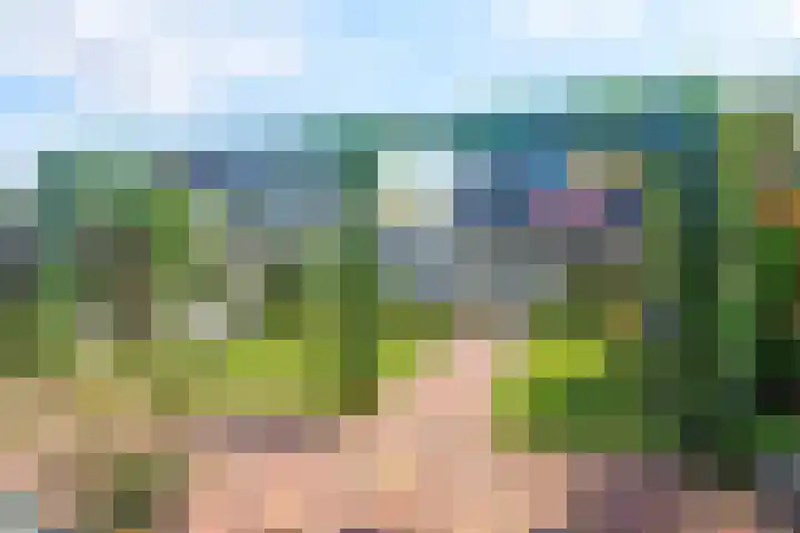 Geison 6 Beuningen Gld thumbnail 36