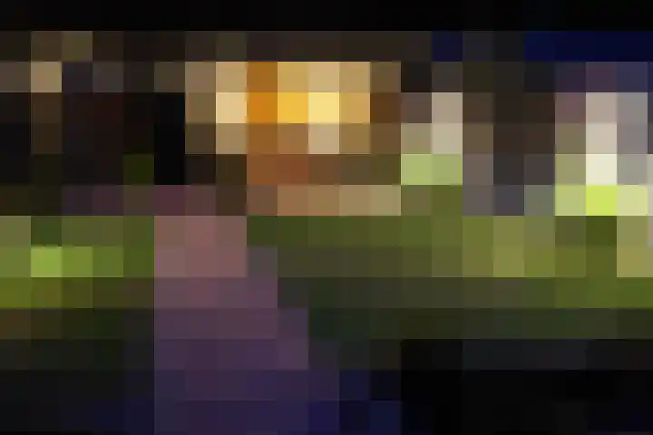 Geison 6 Beuningen Gld thumbnail 38