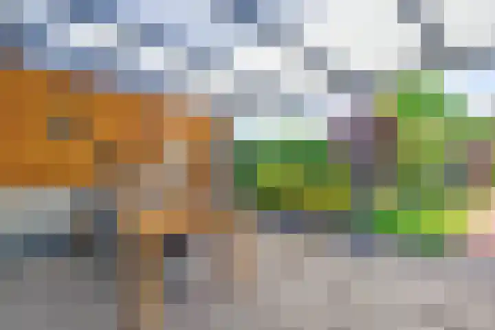 Geison 6 Beuningen Gld thumbnail 39