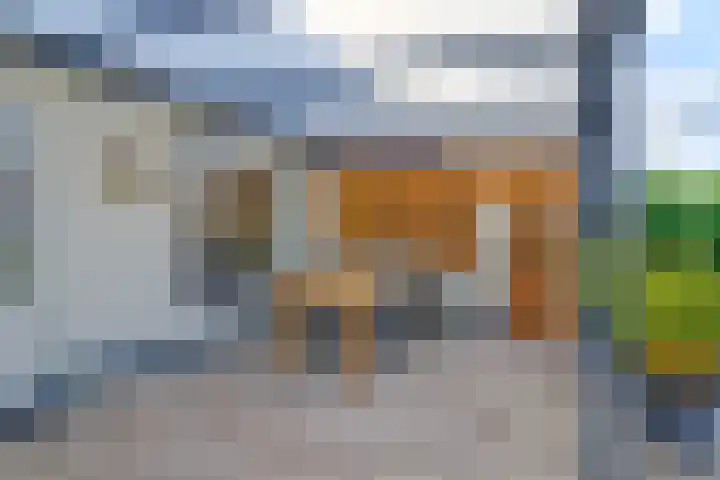 Geison 6 Beuningen Gld thumbnail 40