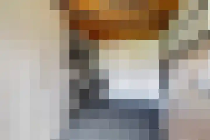 Geison 6 Beuningen Gld thumbnail 41