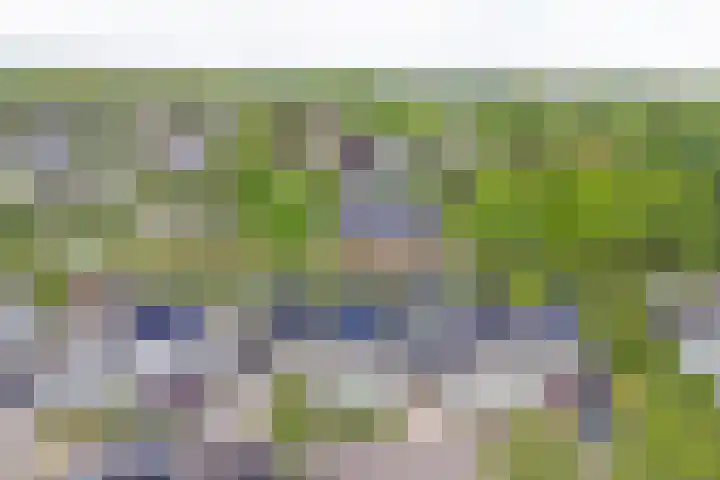 Geison 6 Beuningen Gld thumbnail 43