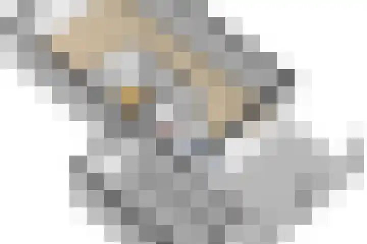 Geison 6 Beuningen Gld thumbnail 46