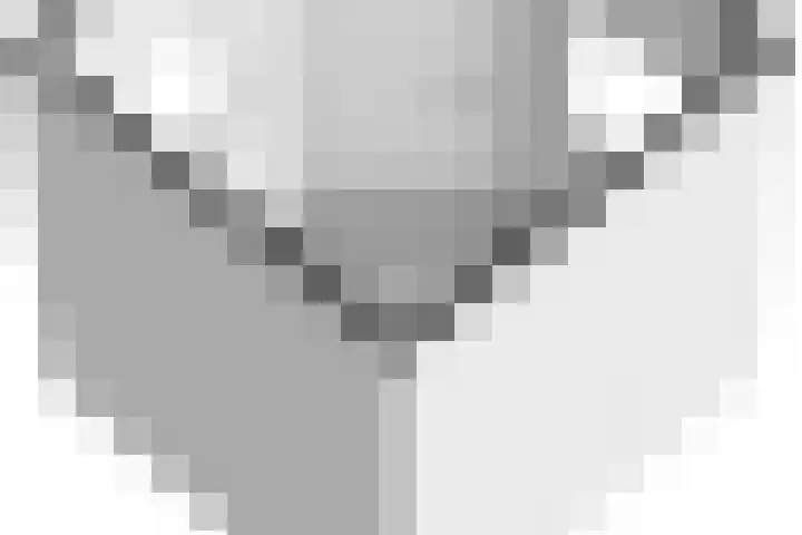 Geison 6 Beuningen Gld thumbnail 54