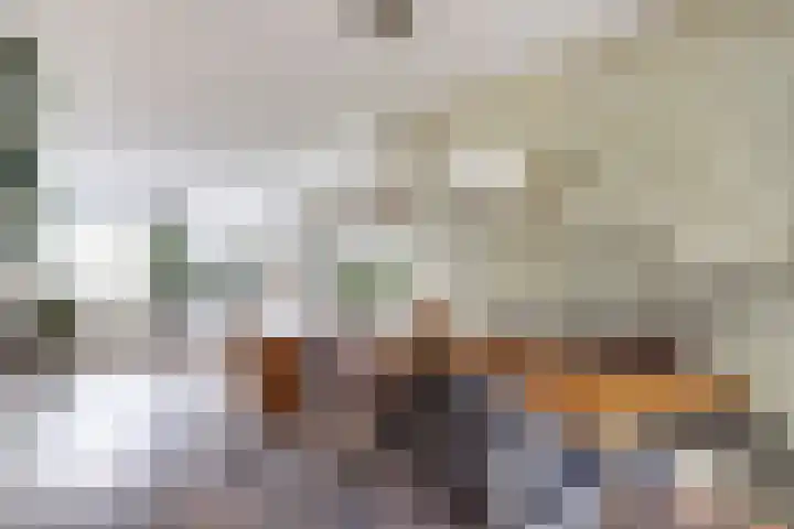 Geison 6 Beuningen Gld thumbnail 8