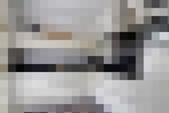 Geison 6 Beuningen Gld thumbnail 9