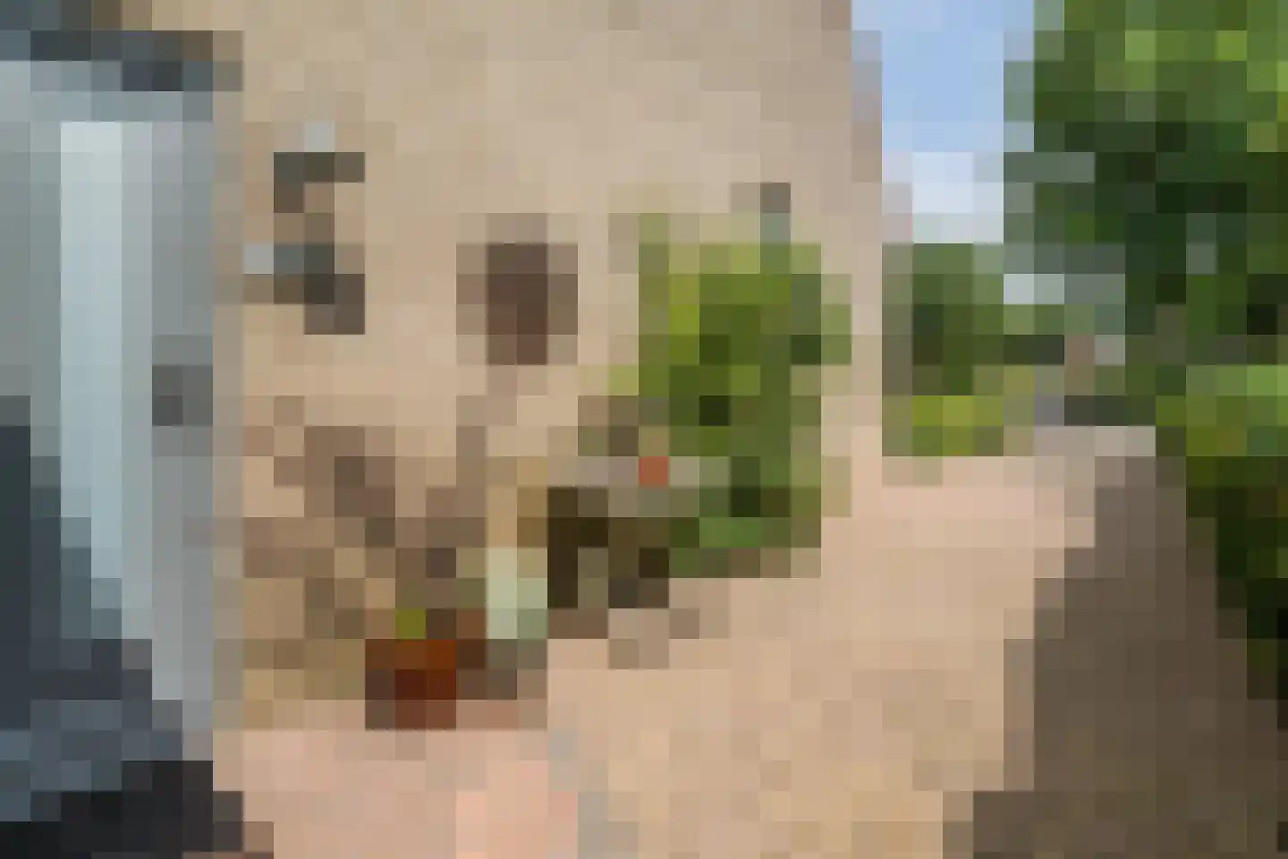 Geitekamp 24 Harderwijk thumbnail 44