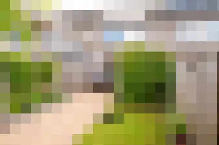 Geitekamp 64 Harderwijk thumbnail 25