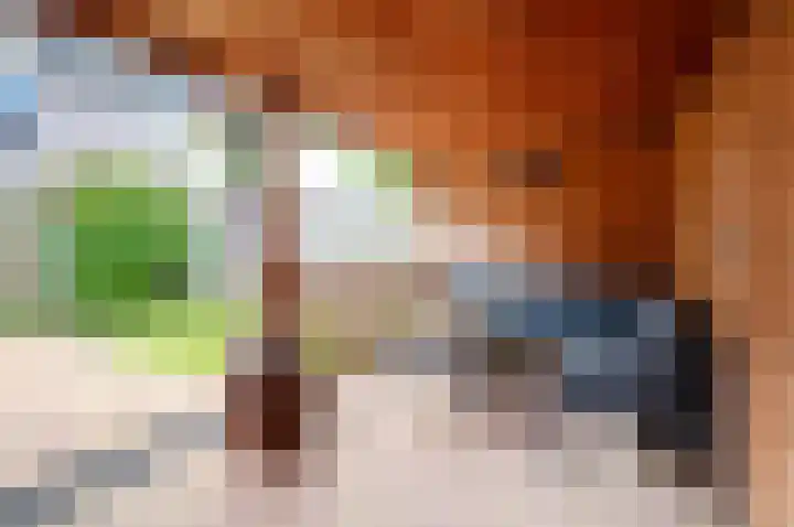 Geitekamp 64 Harderwijk thumbnail 26