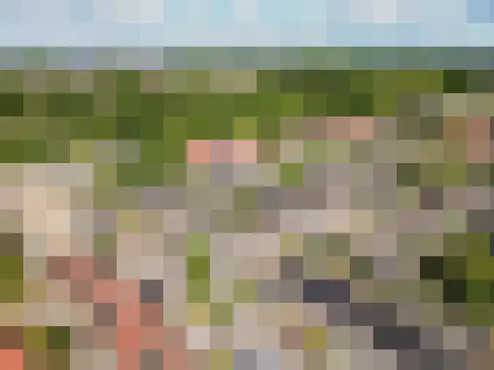 Geitekamp 64 Harderwijk thumbnail 36