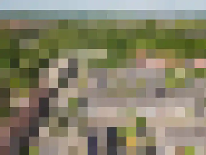 Geitekamp 64 Harderwijk thumbnail 37