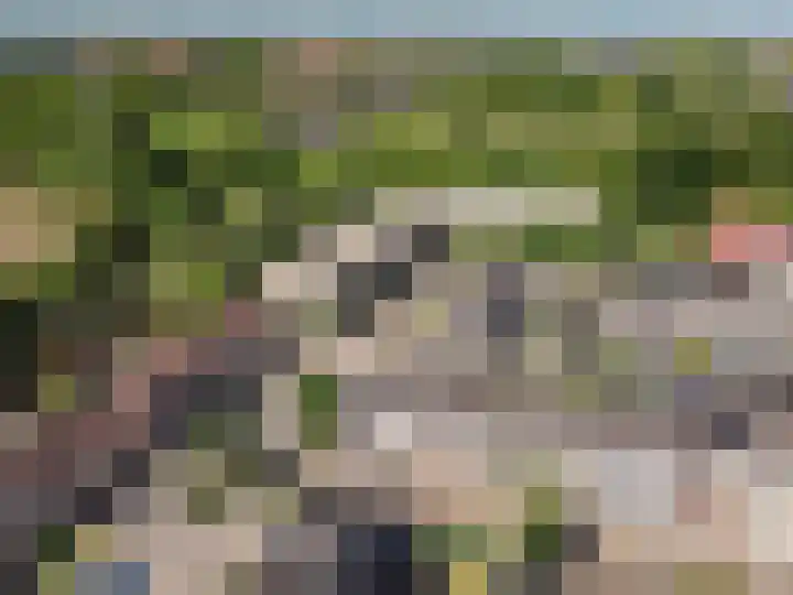 Geitekamp 64 Harderwijk thumbnail 38